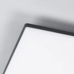 Lucande Lámparas Henni Udendørs Lámpara De Techo Dark Grey/White - Lucande -Lucande 42510965277806