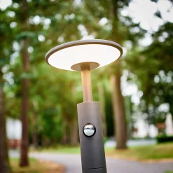 Lucande Lámparas Fenia Lámpara Para Jardín W/Sensor Anthracite/Opal - Lucande -Lucande 42510965480134