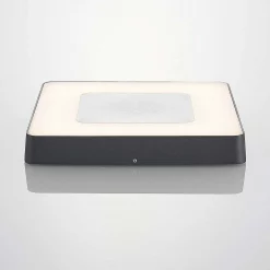 Lucande Lámparas Sora Udendørs Lámpara De Techo White/Dark Grey - Lucande -Lucande 42510965558996